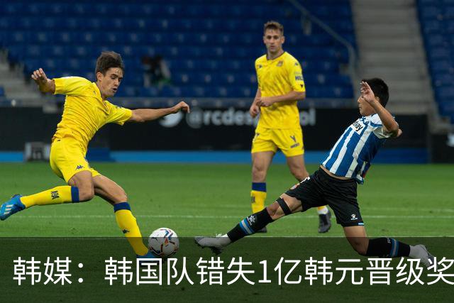 韩媒：韩国队错失1亿韩元晋级奖 但每人仍可拿8000万津贴